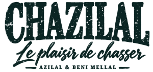 distressed chazilal vintage logo